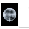 Globe x-ray by Nicolas Lane