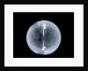 Globe x-ray by William Palmer
