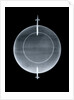 Globe x-ray by Jean Fortin