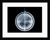 Globe x-ray by John Senex