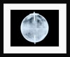 Globe x-ray by Dudley Adams