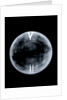 Globe x-ray by Richard Cushee