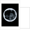 Globe x-ray by George Adams