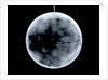 Globe x-ray by James Ferguson