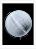 Globe x-ray by William Johnston