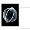 Globe x-ray by Johann Gabriel Doppelmayr