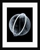 Globe x-ray by Johann Gabriel Doppelmayr