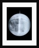 Globe x-ray by Benjamin Martin