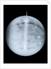 Globe x-ray by Benjamin Martin