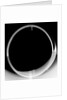 Globe x-ray by Matthaeus Greuter