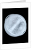 Globe x-ray by Willem Jansz Blaeu