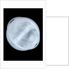 Globe x-ray by Willem Jansz Blaeu