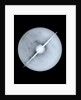Globe x-ray by Willem Jansz Blaeu