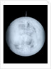 Globe x-ray by Georg Christoph Eimmart