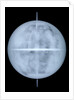 Globe x-ray by Georg Christoph Eimmart