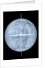 Globe x-ray by Georg Christoph Eimmart