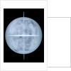 Globe x-ray by Georg Christoph Eimmart