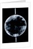 Globe x-ray by Johann Gabriel Doppelmayr