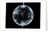 Globe x-ray by Johann Gabriel Doppelmayr