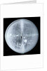 Globe x-ray by Newton Son & Berry
