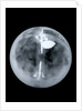 Globe x-ray by Nathaniel Hill