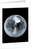 Globe x-ray by Nathaniel Hill