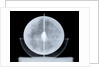 Globe x-ray by William Bardin