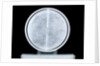 Globe x-ray by William Bardin