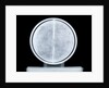 Globe x-ray by William Bardin
