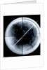 Globe x-ray by Gerard Mercator