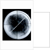 Globe x-ray by Gerard Mercator