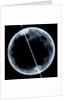 Globe x-ray by Gerard Mercator