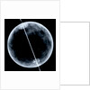 Globe x-ray by Gerard Mercator