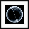 Globe x-ray by Gerard Mercator