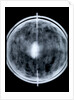 Globe x-ray by Jacob Floris van Langren