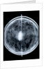 Globe x-ray by Jacob Floris van Langren