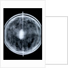 Globe x-ray by Jacob Floris van Langren