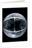 Globe x-ray by Jacob Floris van Langren