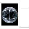 Globe x-ray by Jacob Floris van Langren