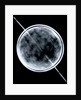 Globe x-ray by Jacob Floris van Langren