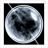 Globe x-ray by Jacob Floris van Langren