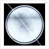 Globe x-ray by Willem Jansz Blaeu