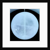Globe x-ray by Gerard Valk