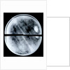 Globe x-ray by Arnold Floris van Langren