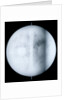 Globe x-ray by Jan Jansz van Ceulen