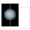Globe x-ray by Isaac Habrecht II