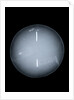 Globe x-ray by Isaac Habrecht II