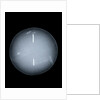 Globe x-ray by Isaac Habrecht II