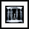 Globe x-ray by Hyacinthe Langlois