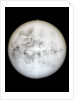 Globe x-ray by Hyacinthe Langlois